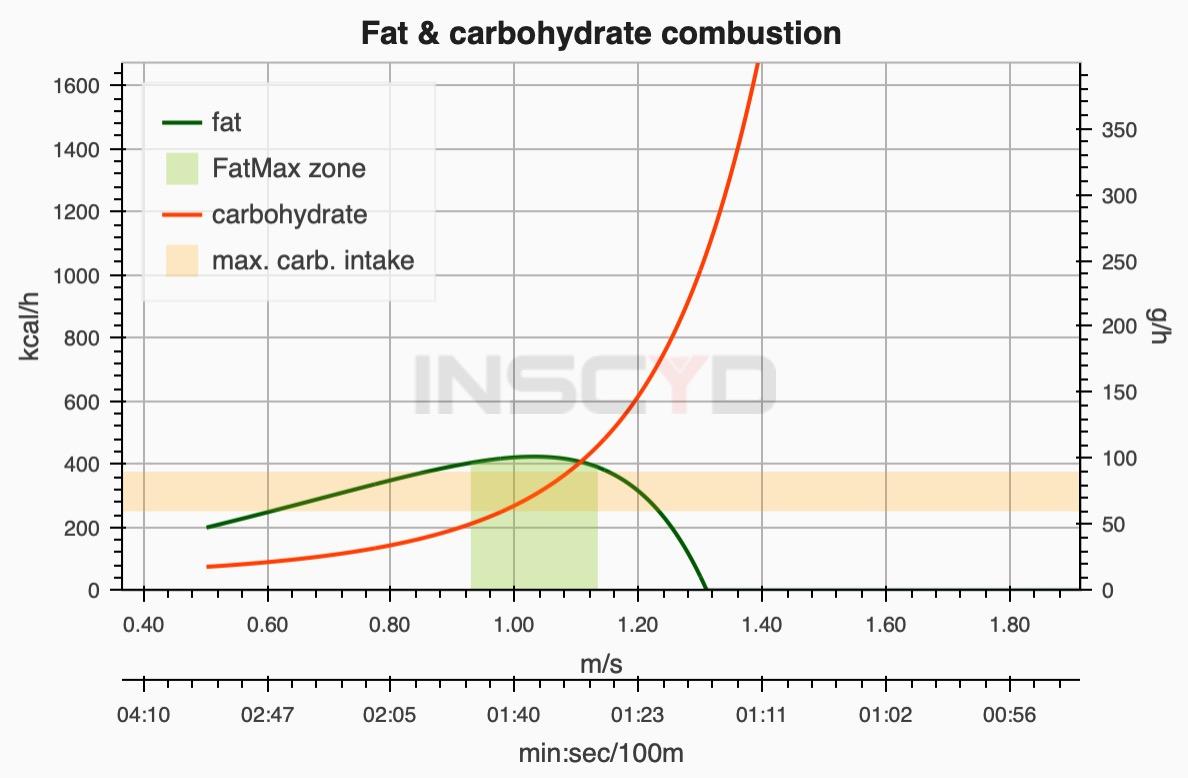 Leistungsdiagnostik Laktattest Schwimmbad – Bild 6