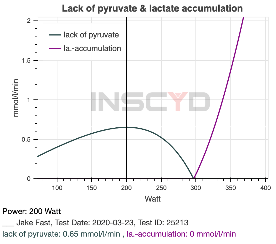 Leistungsdiagnostik PPD-Selbsttest Rollentrainer – Bild 4